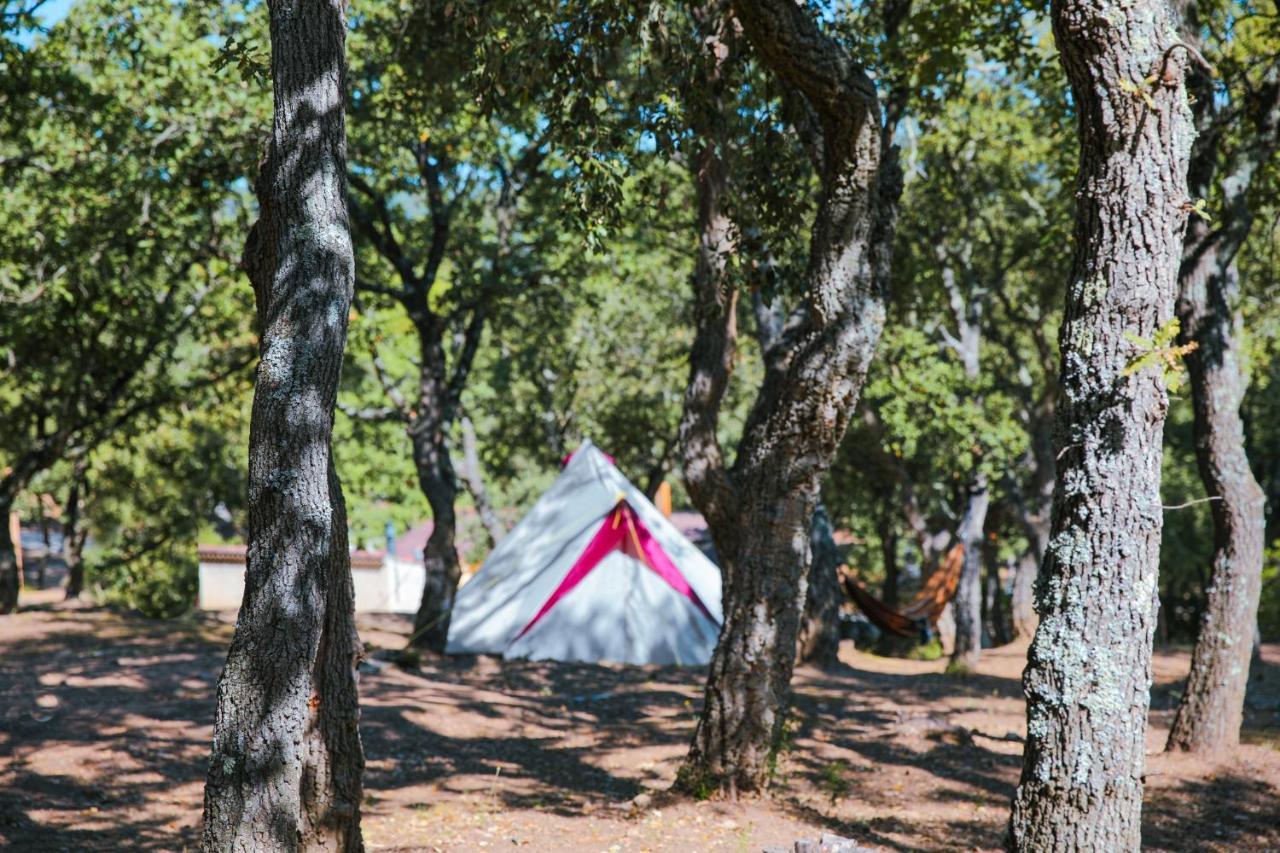 Camping Ladouceur 라마튜엘 외부 사진