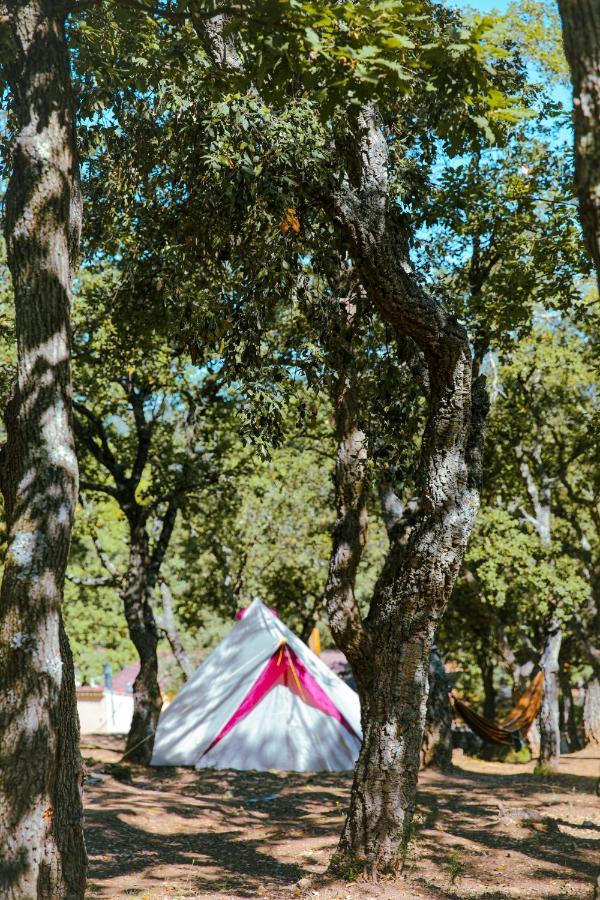Camping Ladouceur 라마튜엘 외부 사진