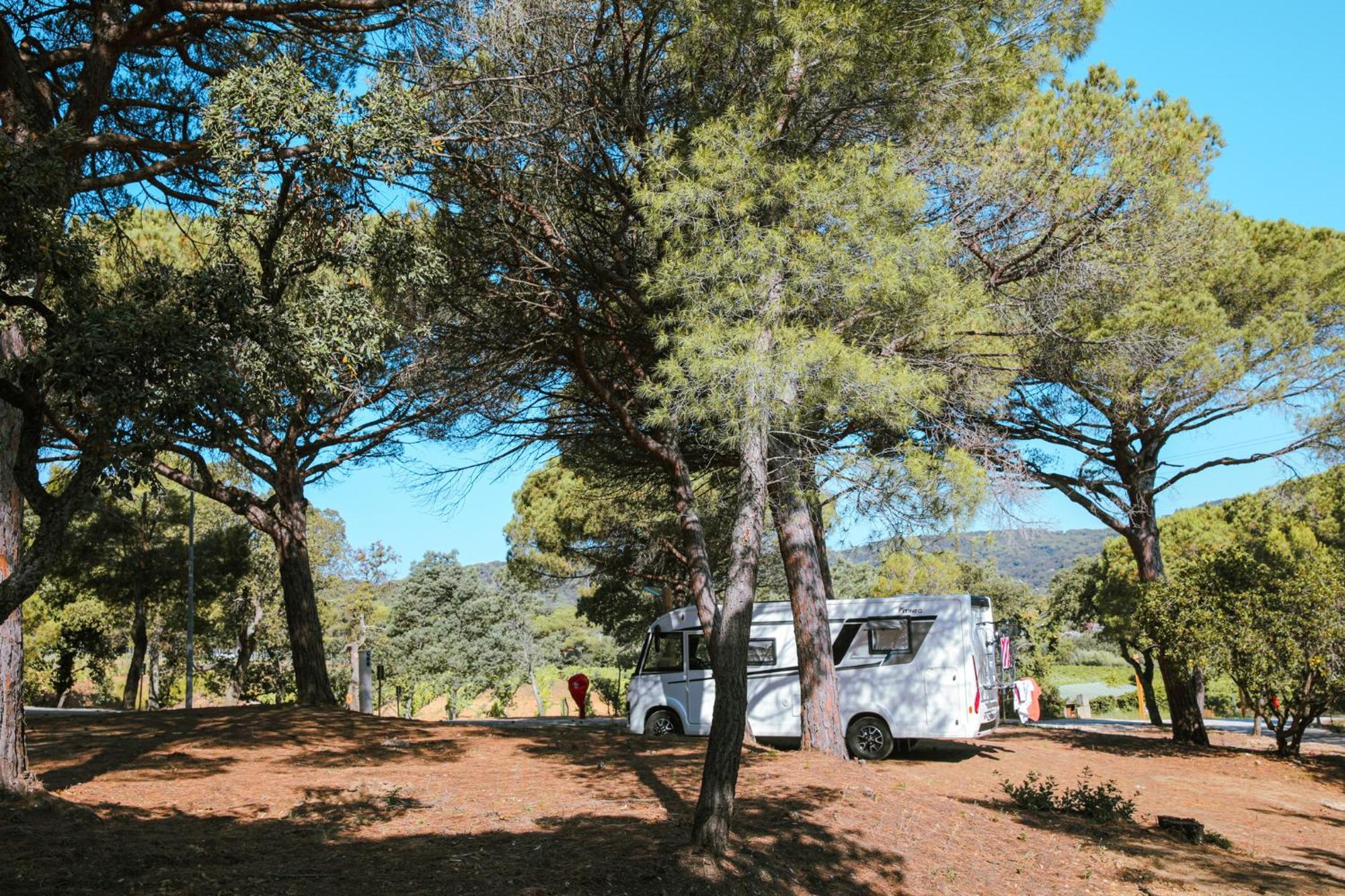 Camping Ladouceur 라마튜엘 외부 사진